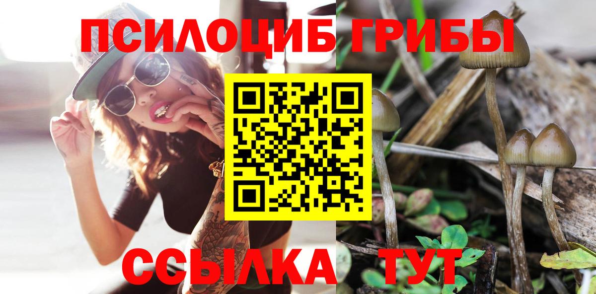 Галлюциногенные грибы Cubensis  Галлюциногенные грибы прущие грибы  Вход с VPN  Кулебаки 