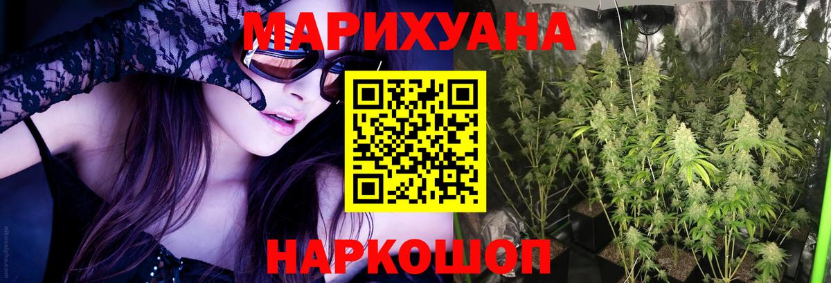 Каннабис планчик  Канабис сатива  Кулебаки  Вход с VPN 